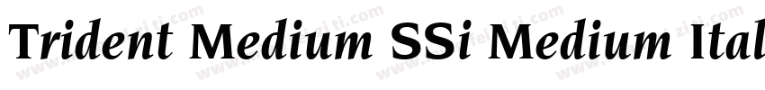 Trident Medium SSi Medium Italic字体转换